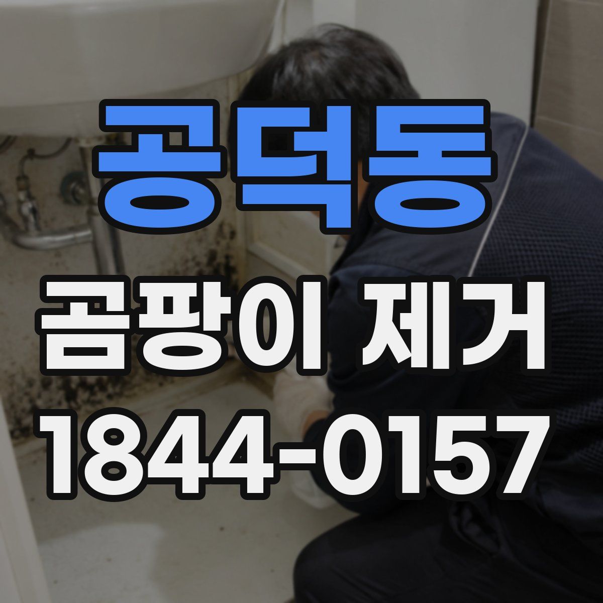 공덕동 곰팡이 제거