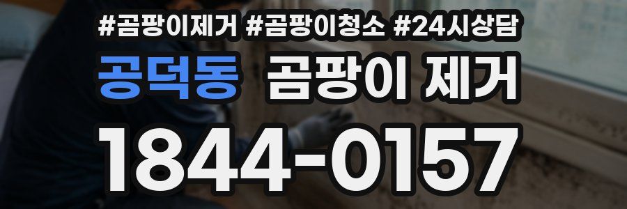 공덕동 곰팡이 제거