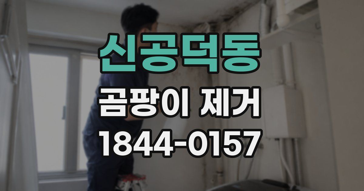 신공덕동 곰팡이 제거