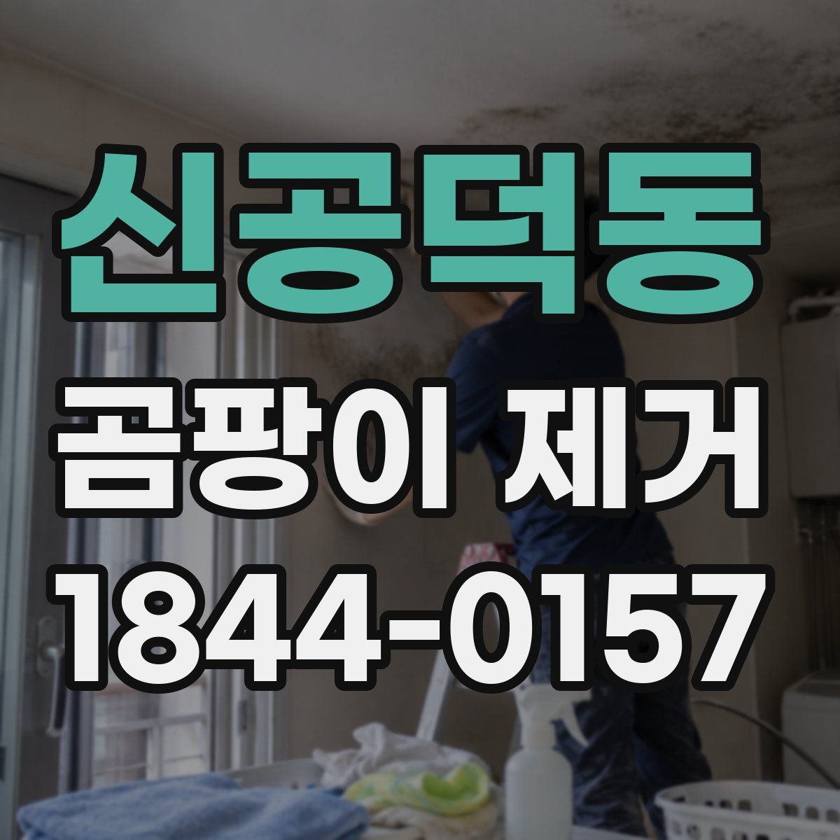 신공덕동 곰팡이 제거