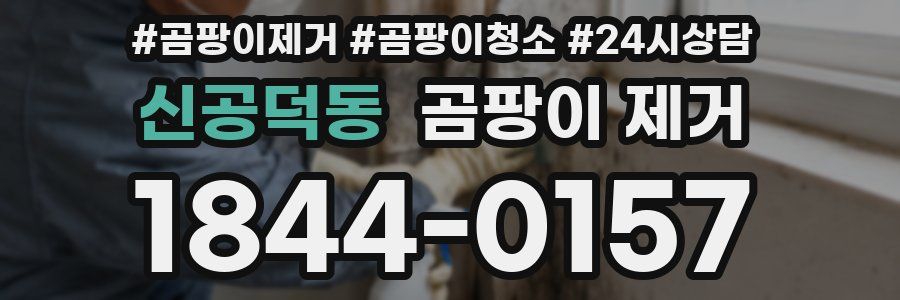 신공덕동 곰팡이 제거