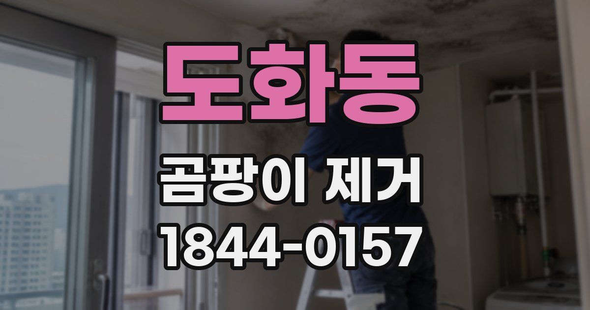 도화동 곰팡이 제거
