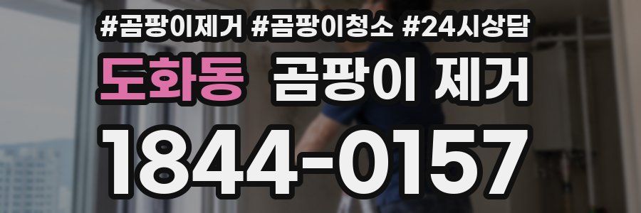 도화동 곰팡이 제거