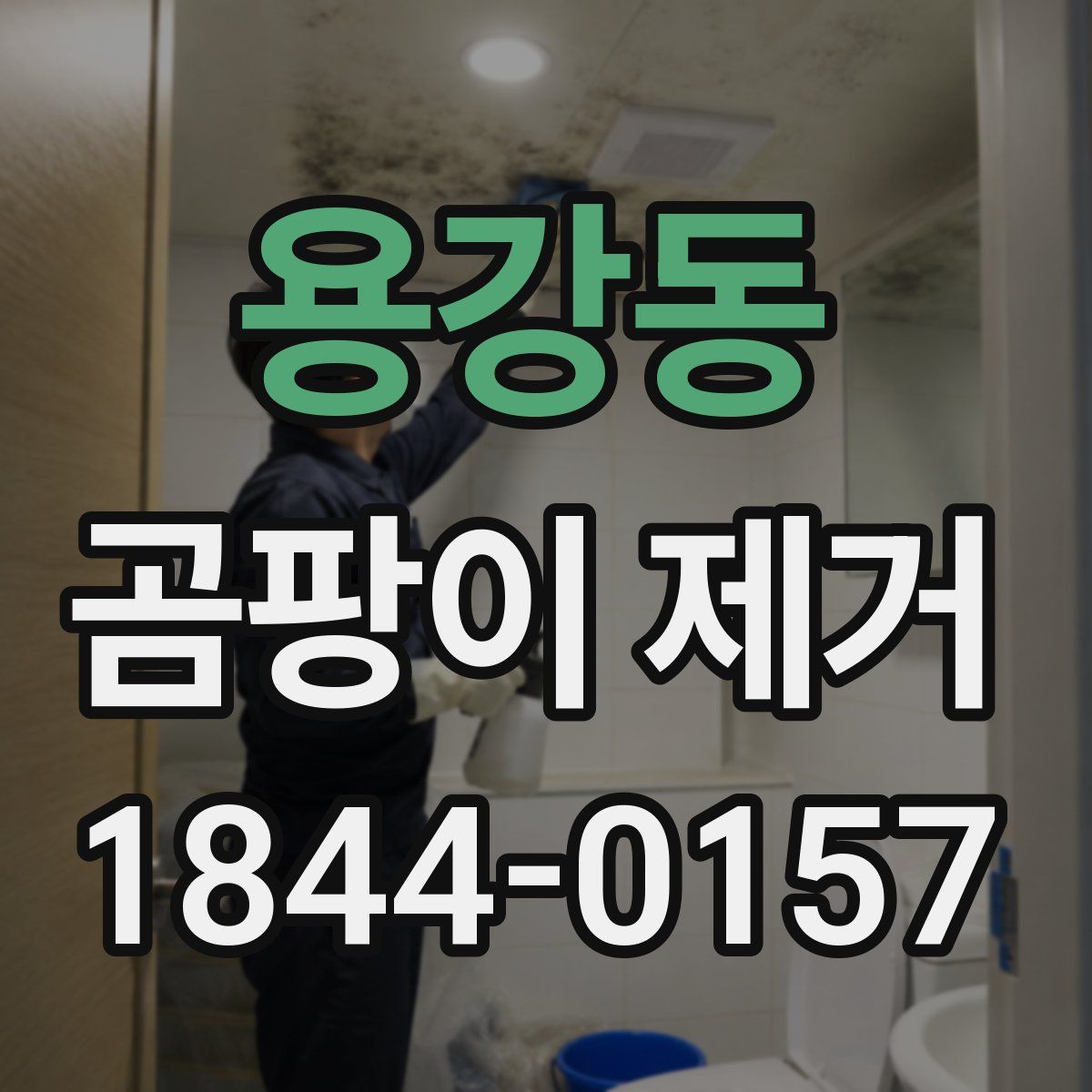 용강동 곰팡이 제거