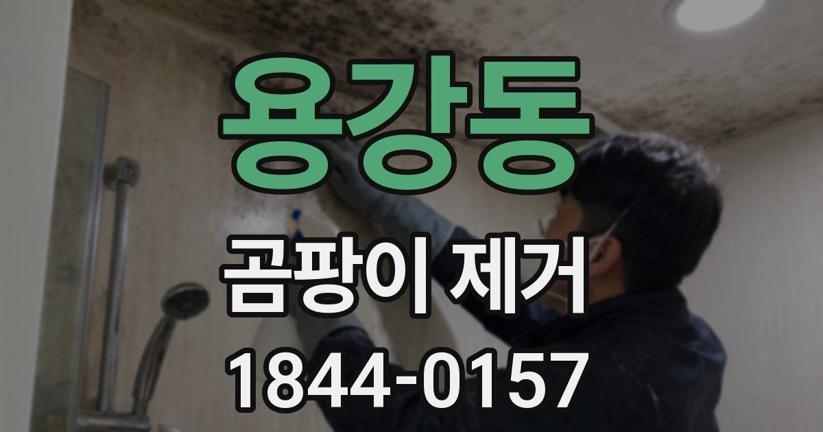 용강동 곰팡이 제거