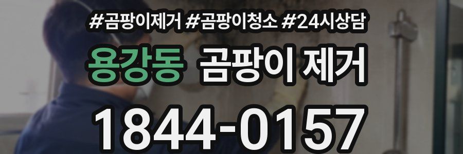 용강동 곰팡이 제거