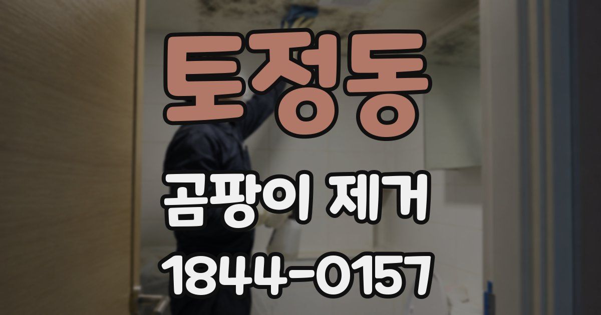 토정동 곰팡이 제거
