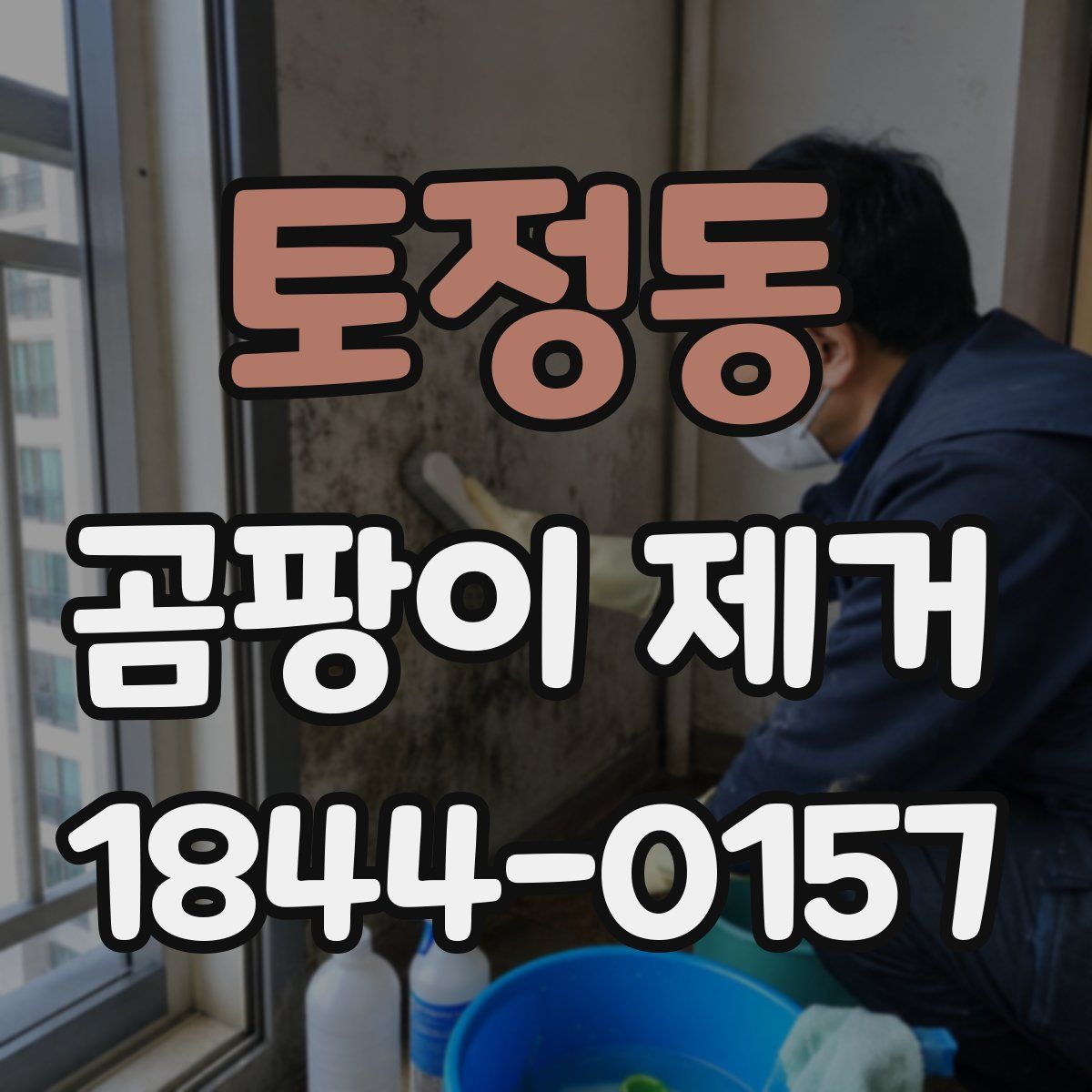 토정동 곰팡이 제거