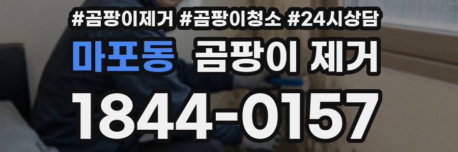 마포동 곰팡이 제거