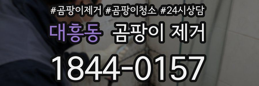 대흥동 곰팡이 제거