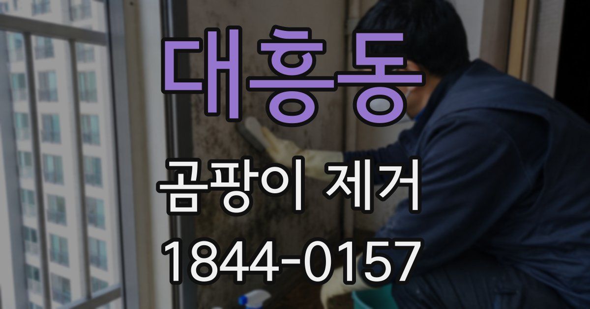 대흥동 곰팡이 제거