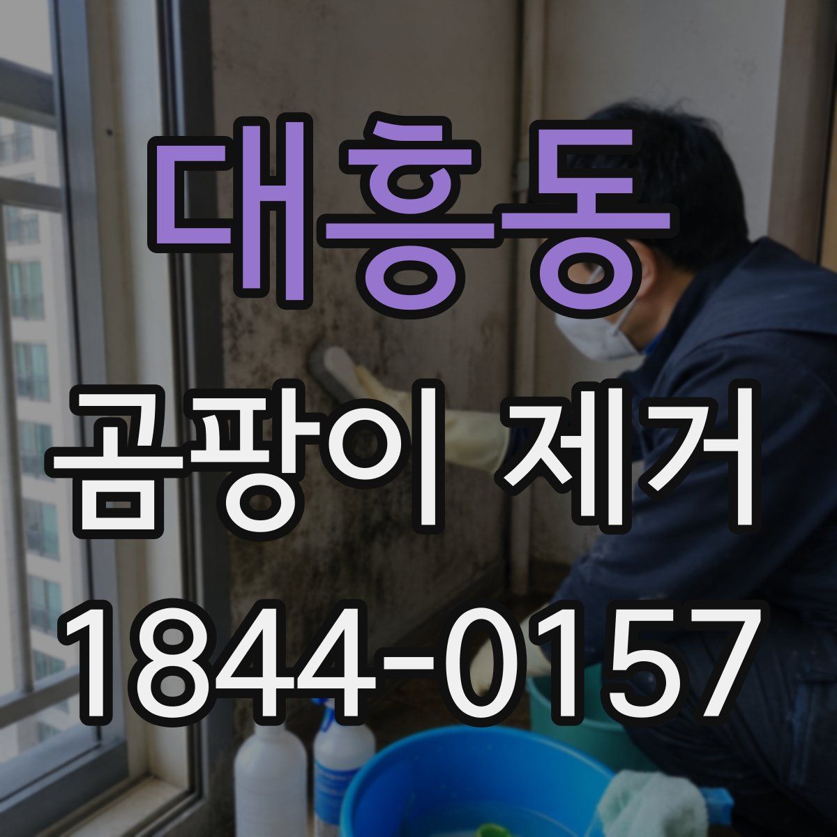 대흥동 곰팡이 제거