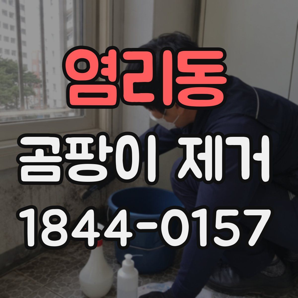 염리동 곰팡이 제거