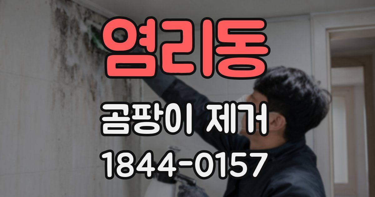 염리동 곰팡이 제거