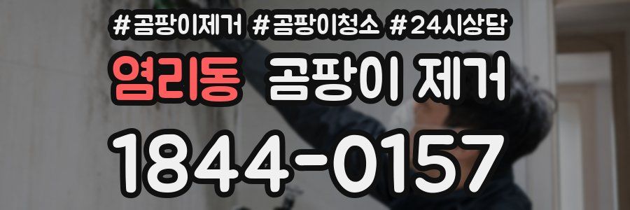 염리동 곰팡이 제거
