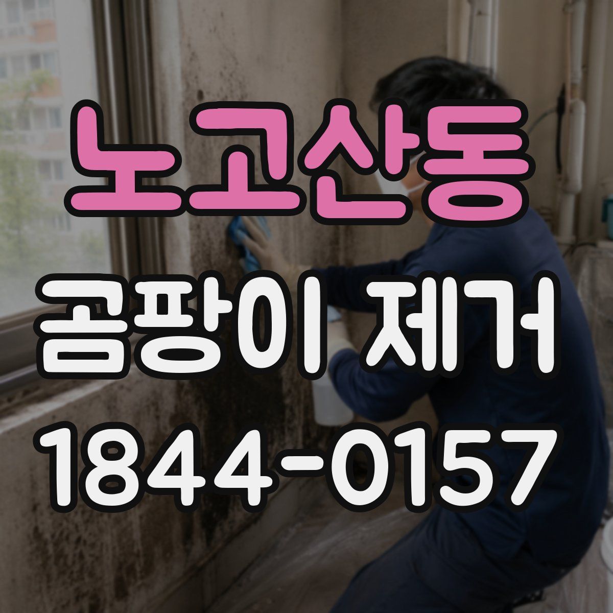 노고산동 곰팡이 제거