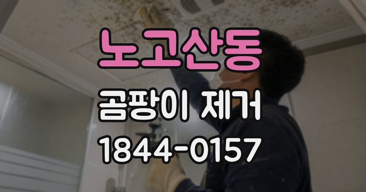노고산동 곰팡이 제거