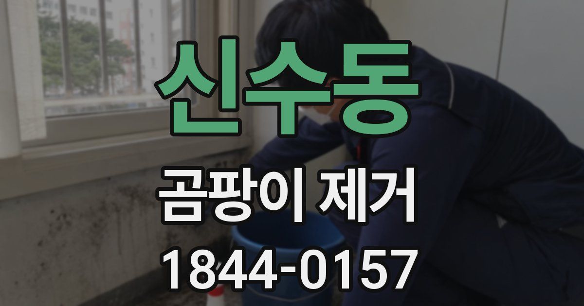 신수동 곰팡이 제거