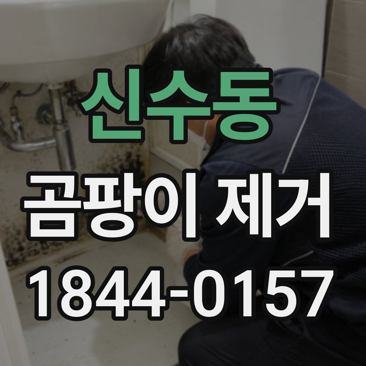신수동 곰팡이 제거