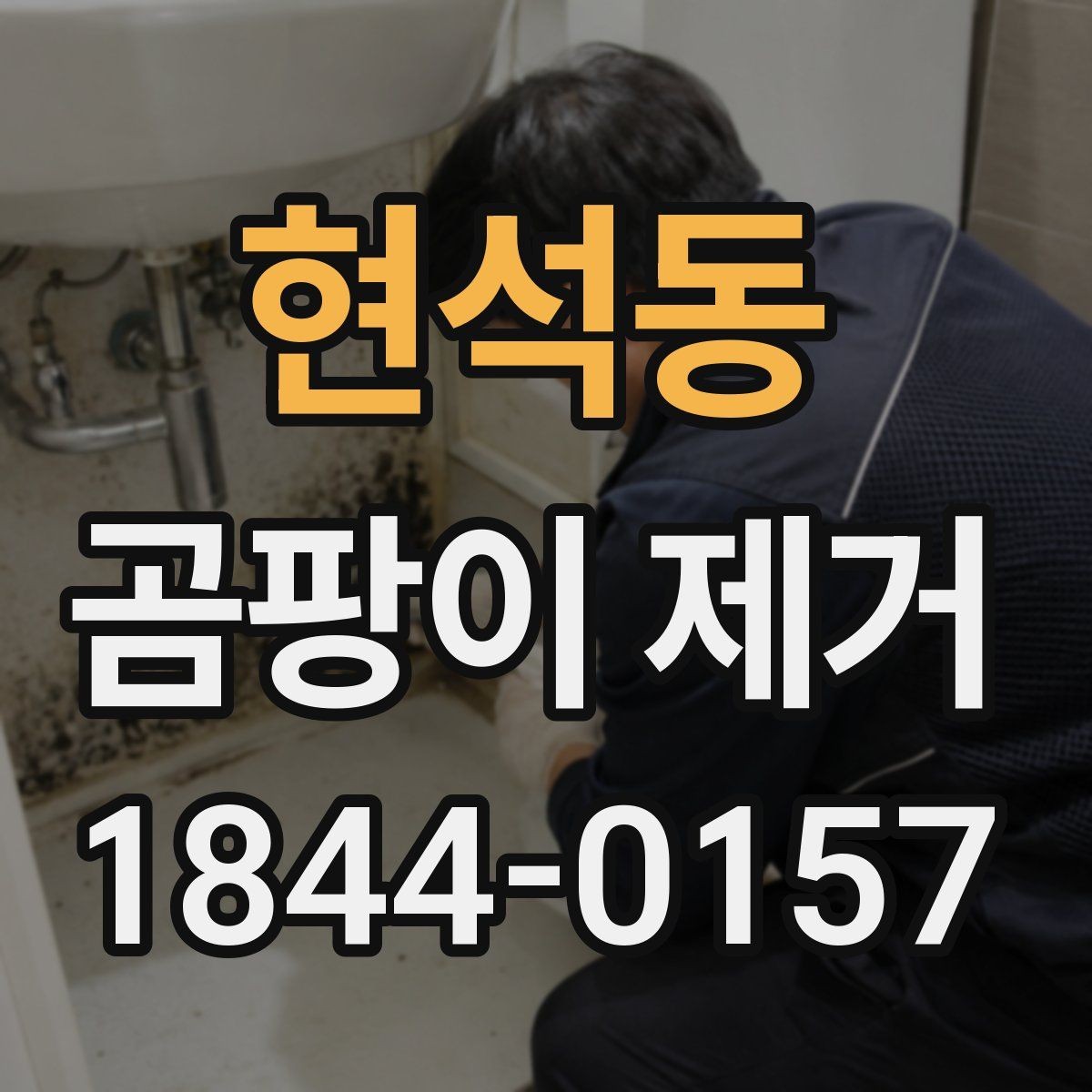 현석동 곰팡이 제거 아이와 반려동물 공간에서 주의할 점