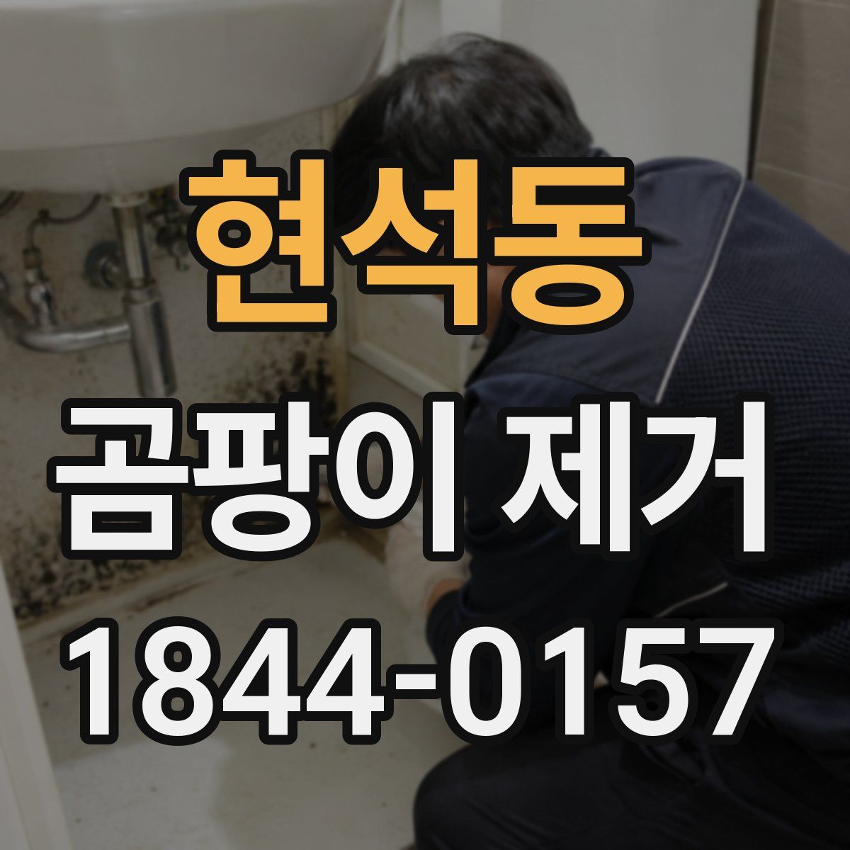 현석동 곰팡이 제거