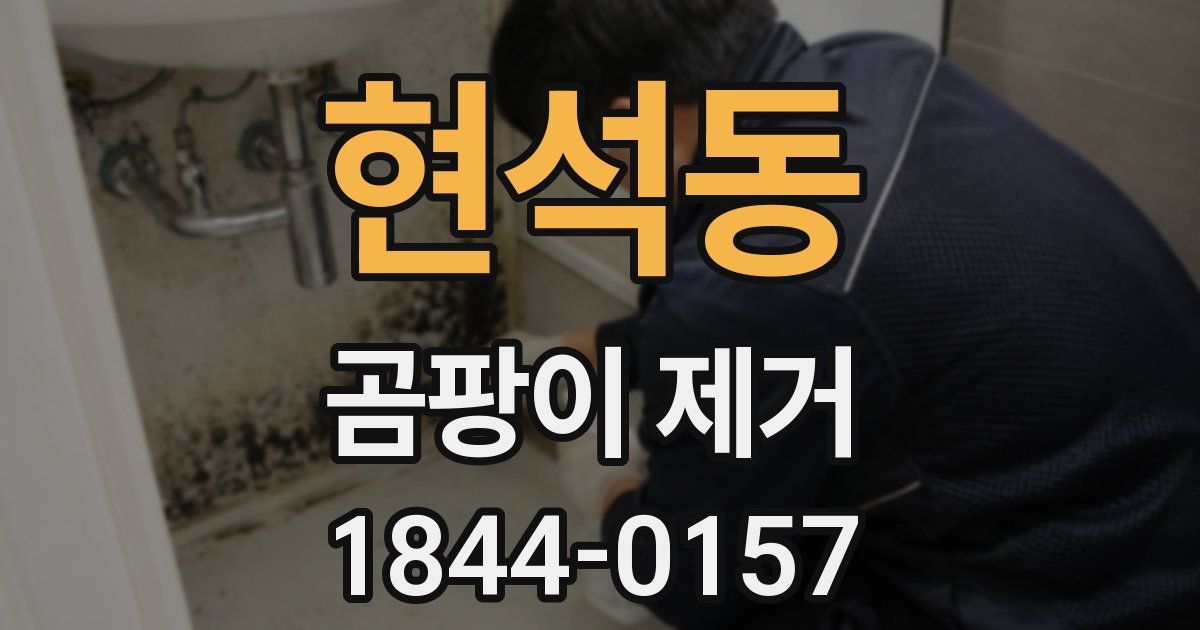 현석동 곰팡이 제거
