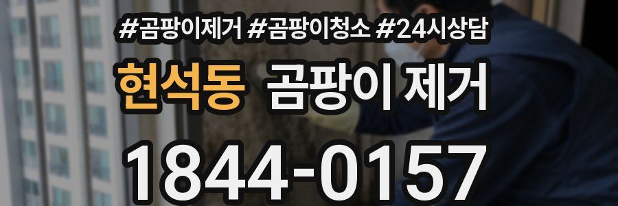현석동 곰팡이 제거