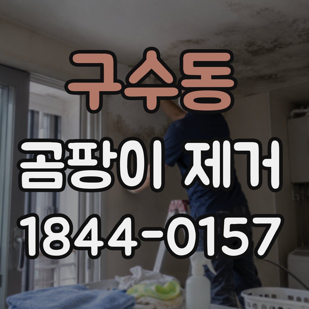구수동 곰팡이 제거