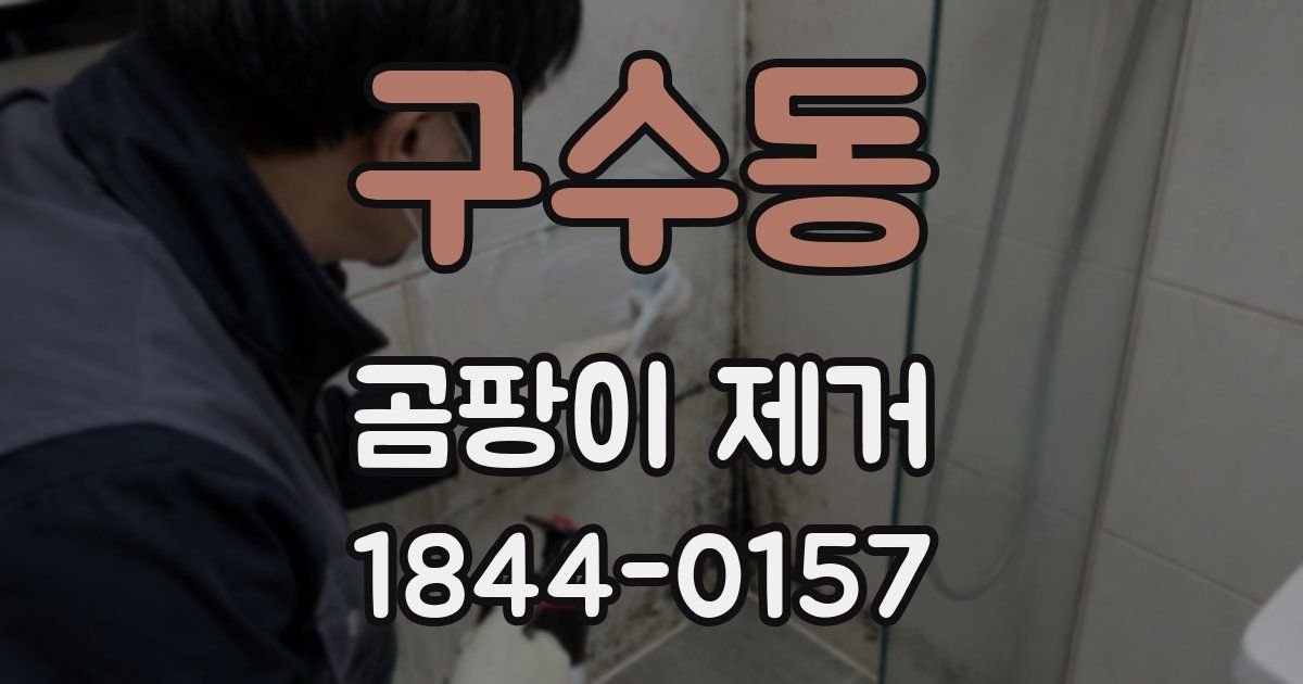 구수동 곰팡이 제거