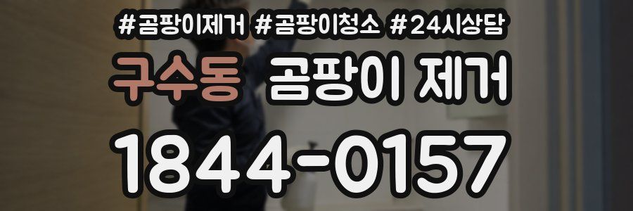 구수동 곰팡이 제거