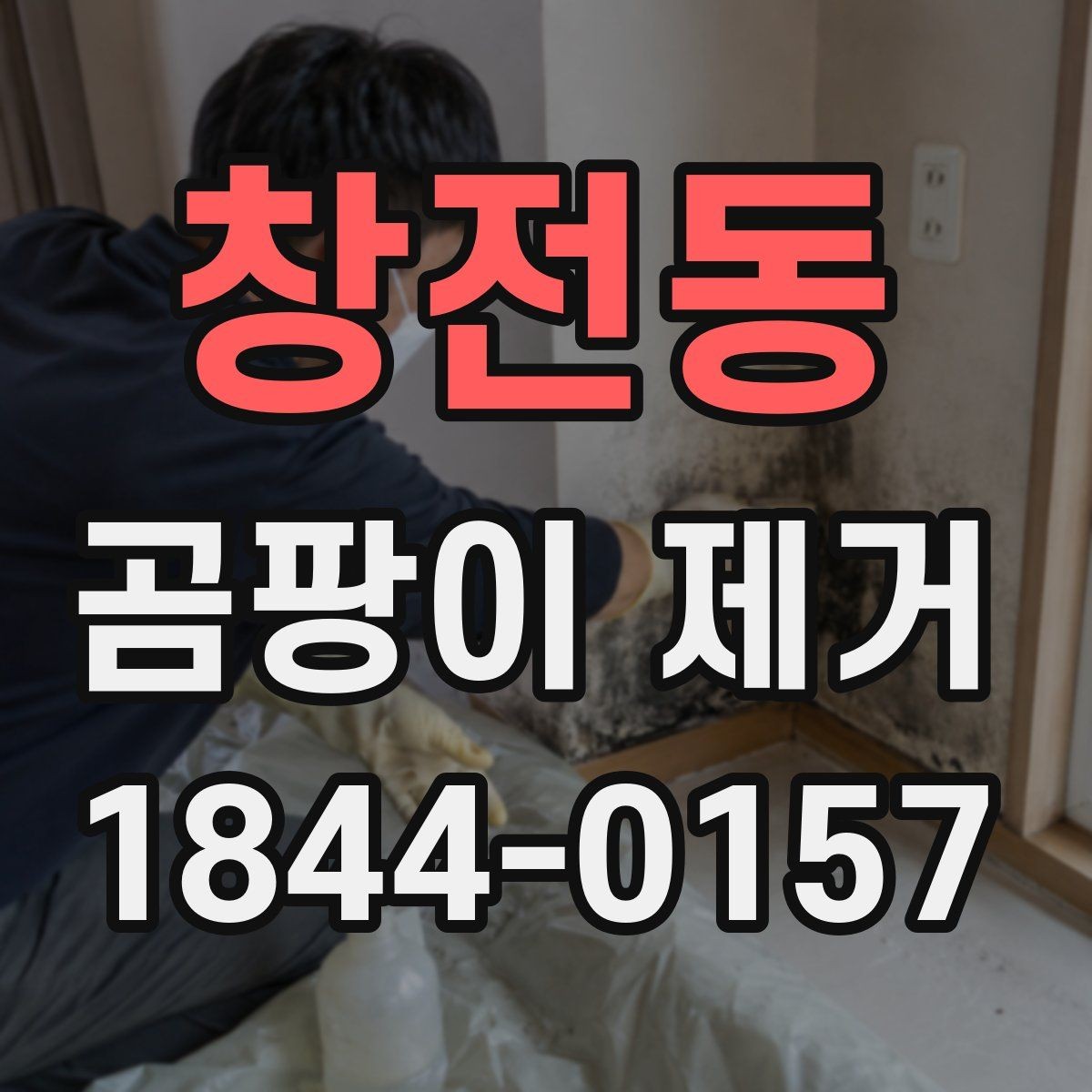 창전동 곰팡이 제거 번식 구간을 미리 찾는 점검법