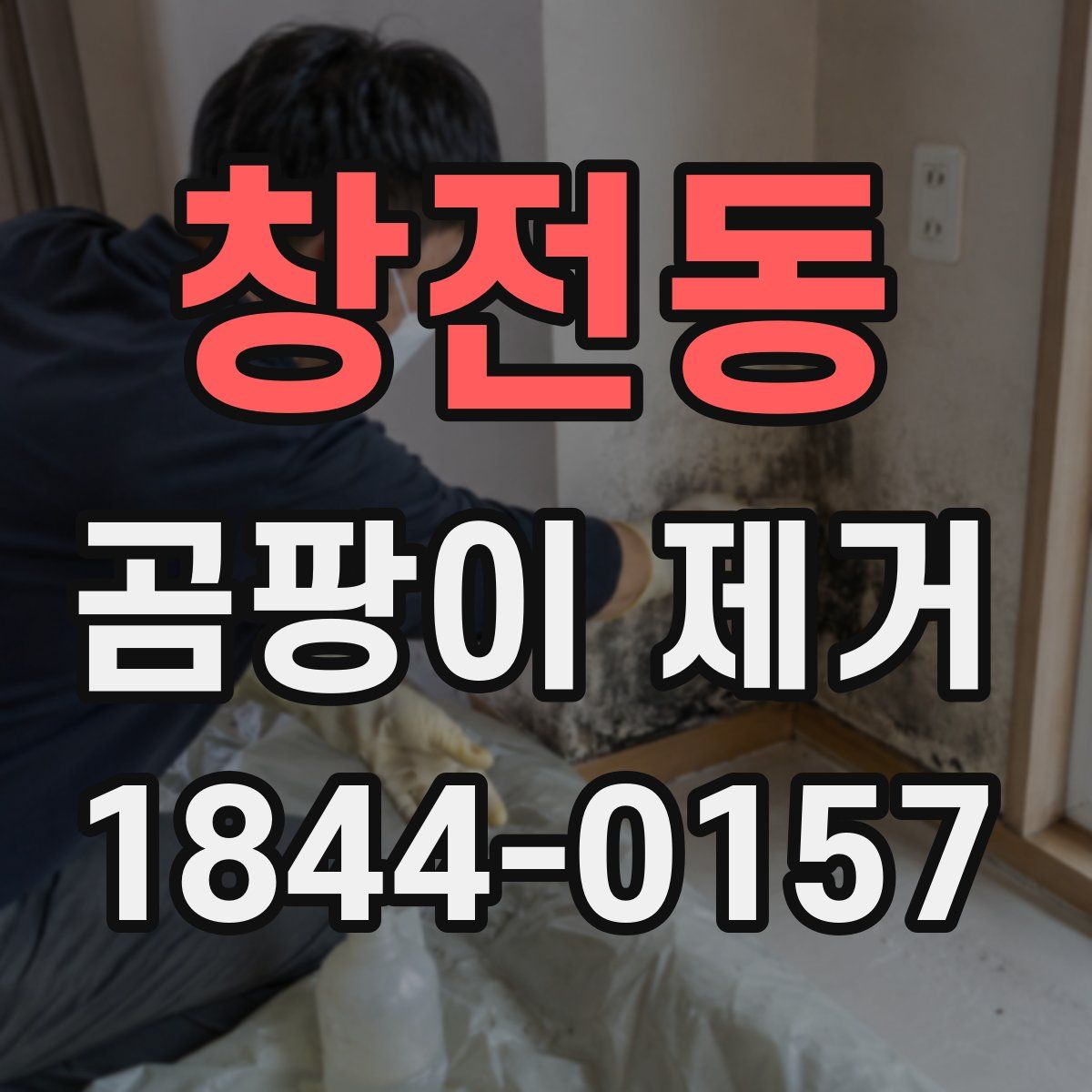 창전동 곰팡이 제거