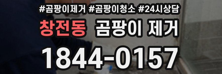창전동 곰팡이 제거