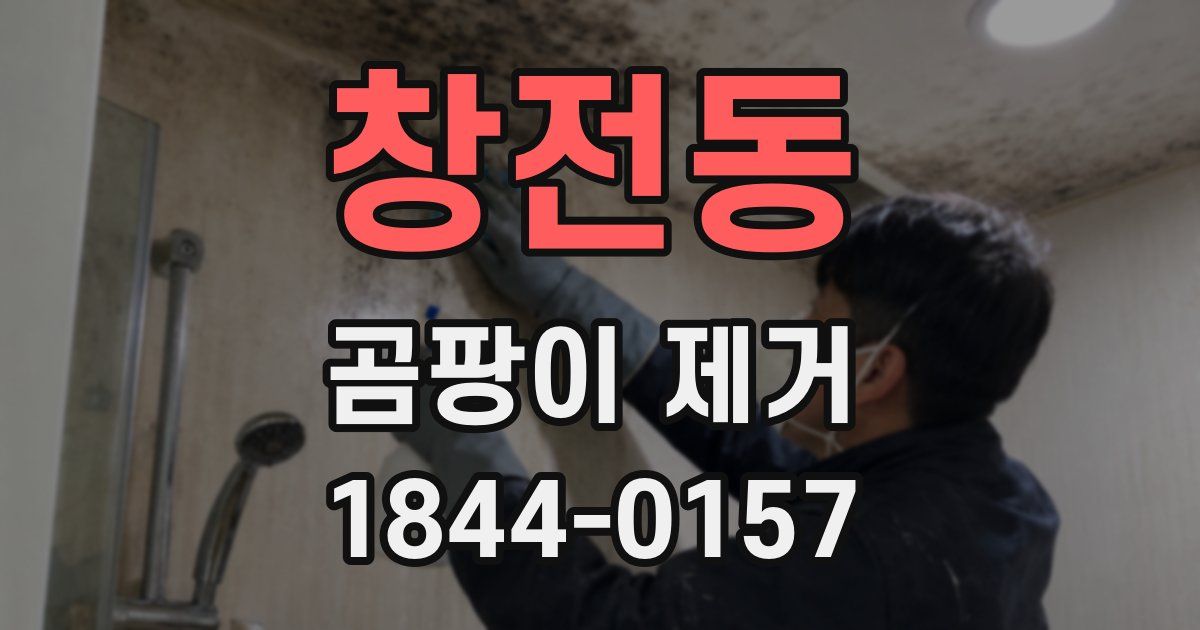 창전동 곰팡이 제거
