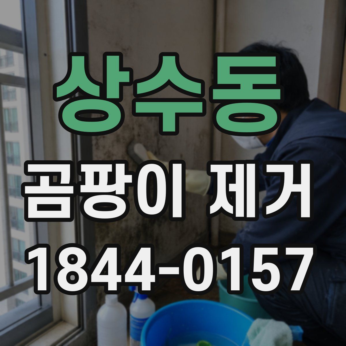 상수동 곰팡이 제거