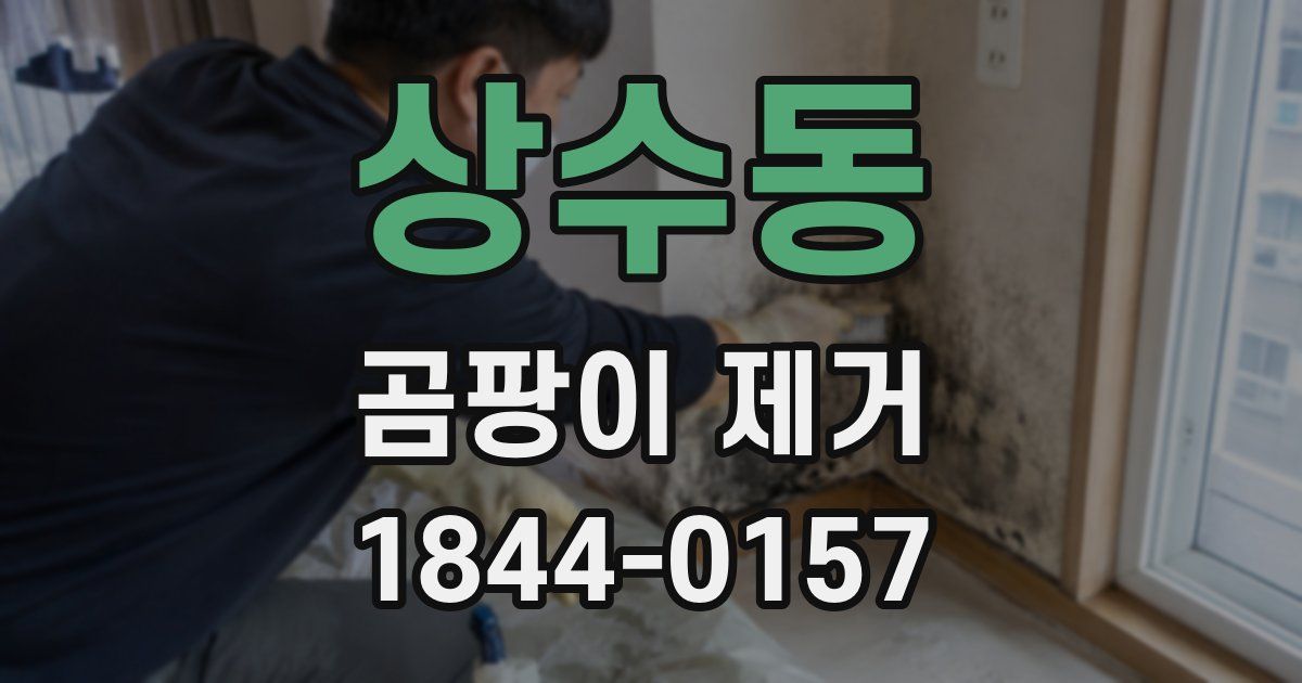 상수동 곰팡이 제거