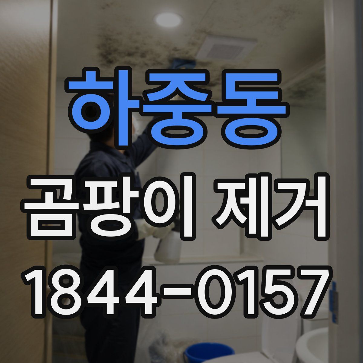 하중동 곰팡이 제거