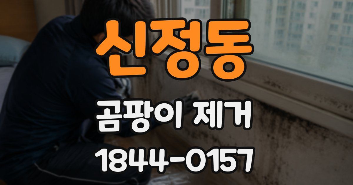 신정동 곰팡이 제거