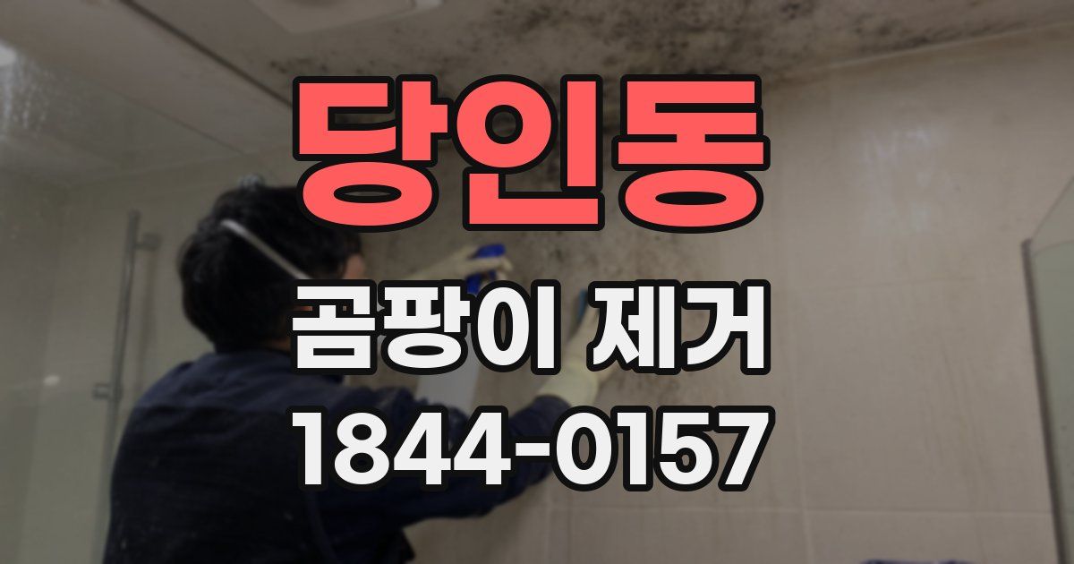 당인동 곰팡이 제거