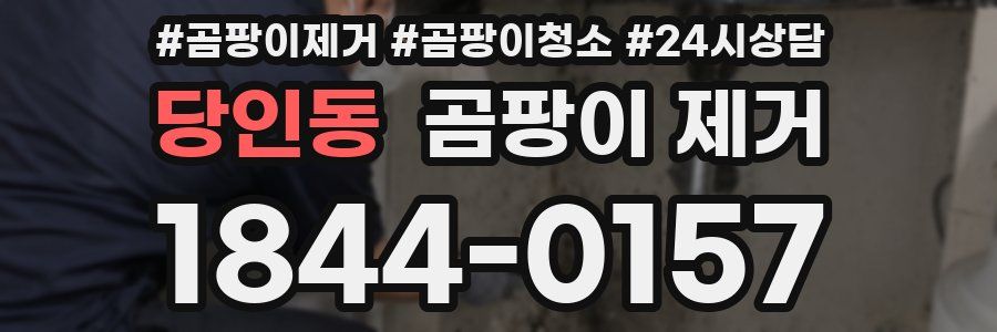 당인동 곰팡이 제거