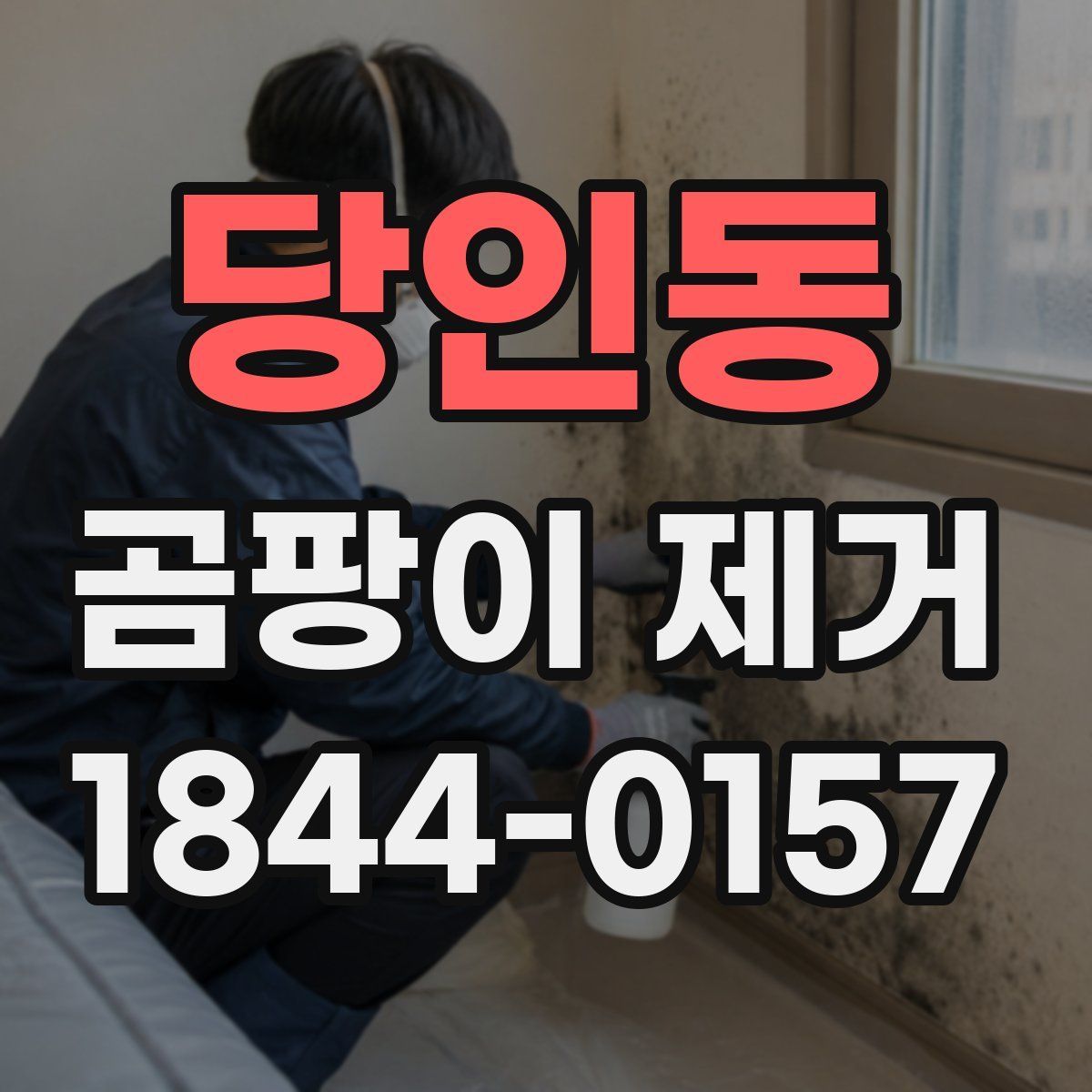 당인동 곰팡이 제거
