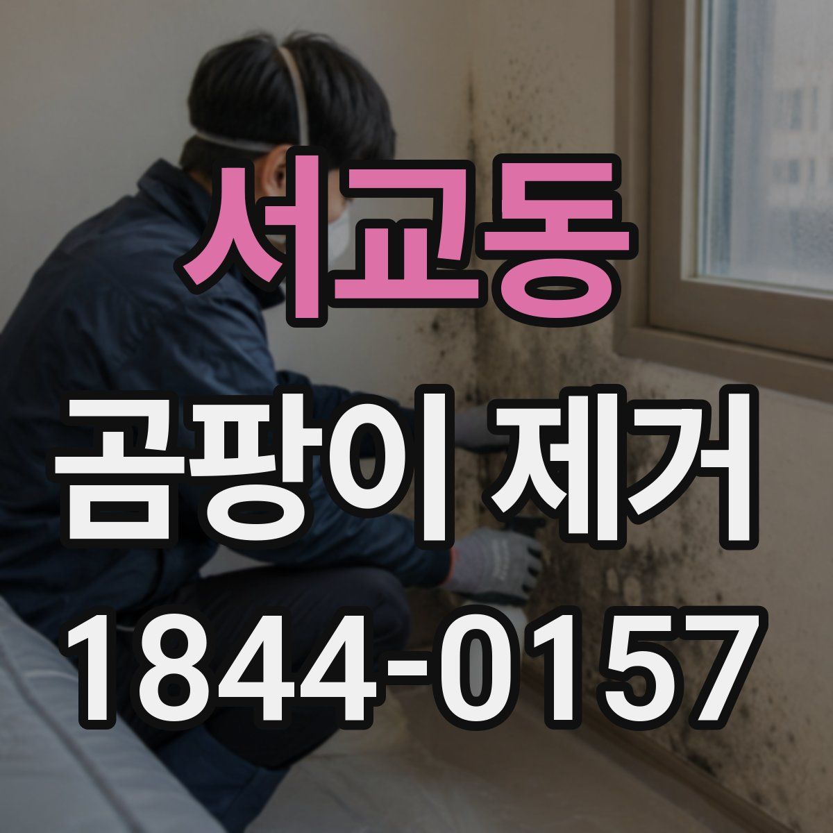 서교동 곰팡이 제거