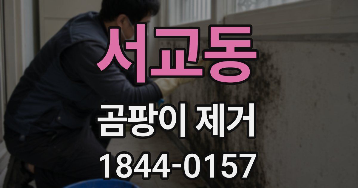 서교동 곰팡이 제거