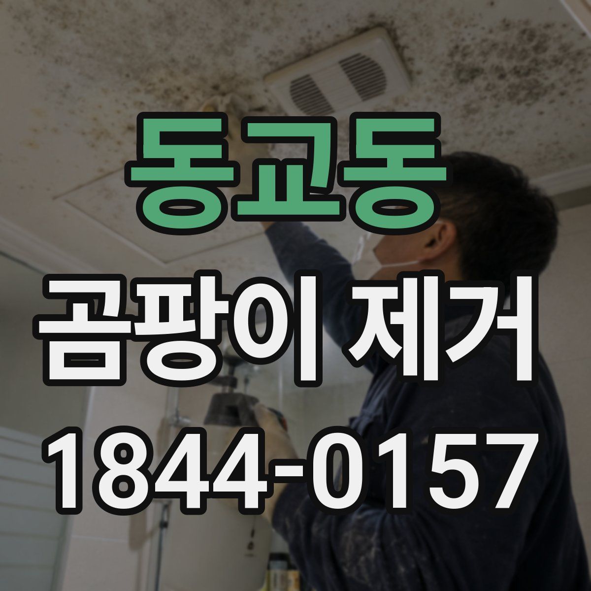 동교동 곰팡이 제거