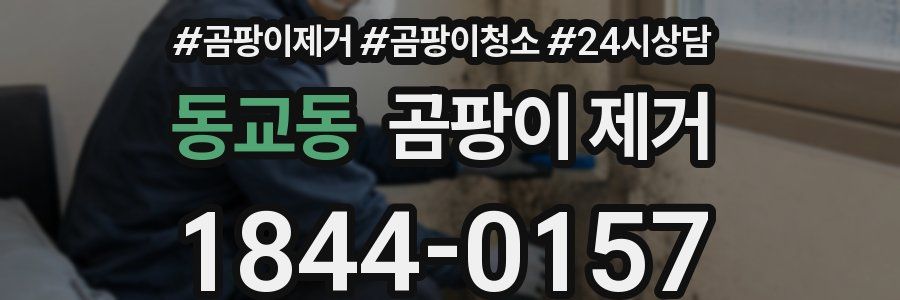동교동 곰팡이 제거