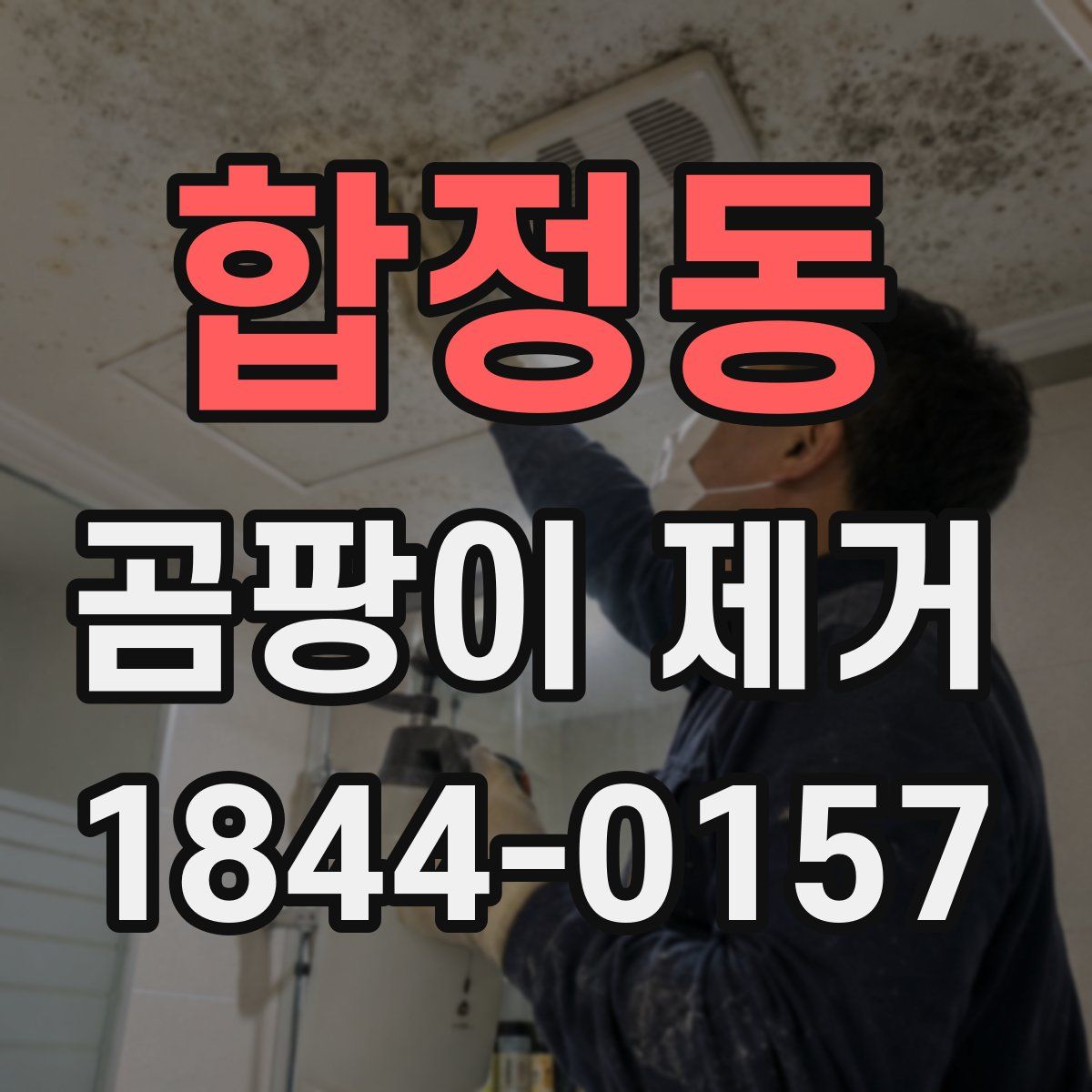 합정동 곰팡이 제거