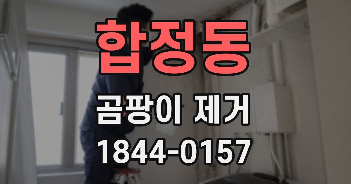 합정동 곰팡이 제거