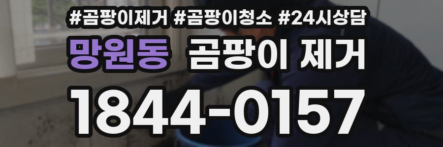 망원동 곰팡이 제거