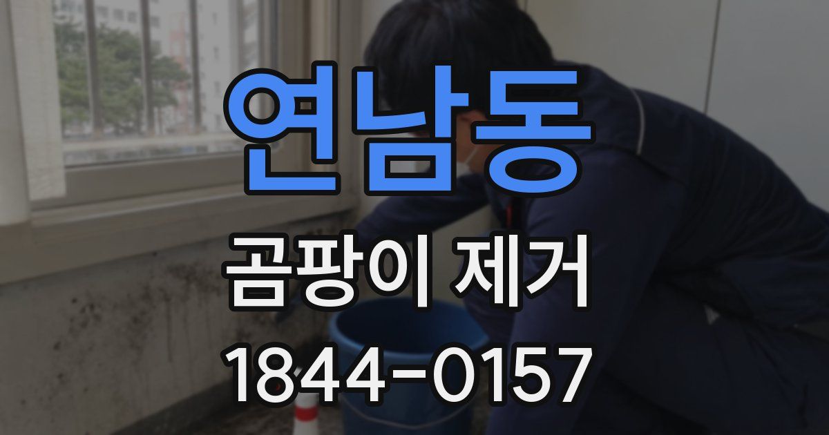 연남동 곰팡이 제거