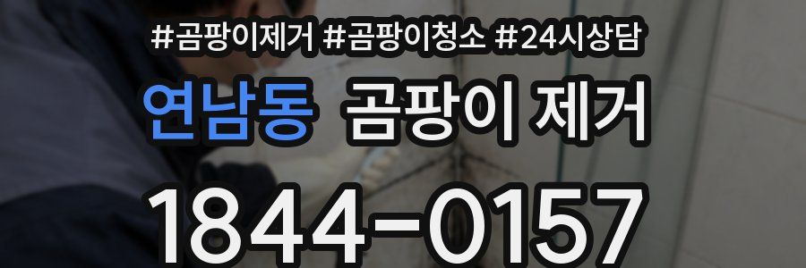 연남동 곰팡이 제거